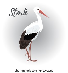 Isolated standing stork bird on a white background, vector illustration, hand drawn