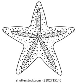 Isolated starfish. Black contour line in the style of doodles