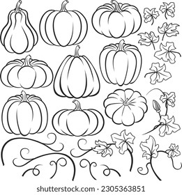 Isolated Stencil Pumpkin and Vines Design