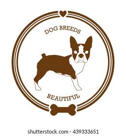 Isolated sticker with a silhouette of a boston terrier on a white background