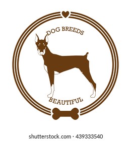 Isolated sticker with a silhouette of a doberman pinscher on a white background