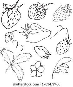 Isolated STRAWBERRIES, hand drawn. Black and white. Vector EPS 10.Use for print on invitations, wallpaper, textiles, greeting cards, fabric, t-shirt, dishes, decor, postcard, wrappers, packaging.
