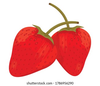 isolated strawberry on white background vector design