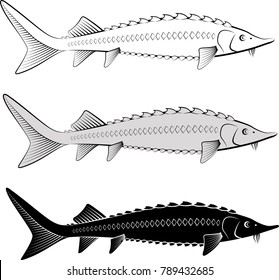 Isolated Sturgeon Clip Art Illustration Silhouette Stock Vector ...