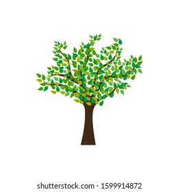 Isolated stylized tree with a brown trunk and green leaves.