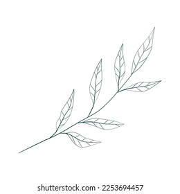 Isolated summer leaf sketch icon Vector