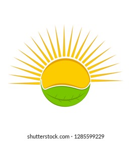 Isolated sun on a leaf. Vector illustration design