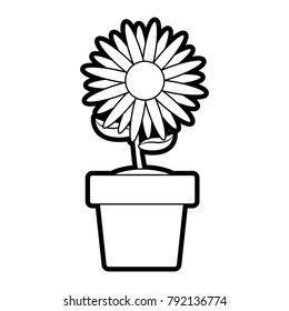 Isolated sunflower design