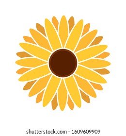 Isolated sunflower icon. Thanksgiving season - Vector illustration design