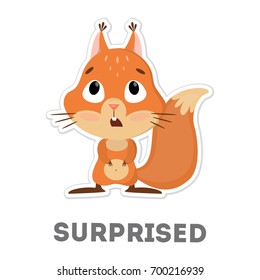 Isolated surprised squirrel. Funny cartoon animal on white background.