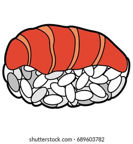 Isolated sushi on a white background, Vector illustration