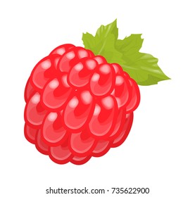Isolated sweet red raspberry on white background.