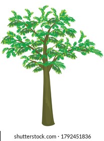 isolated tamarind tree on white background vector design