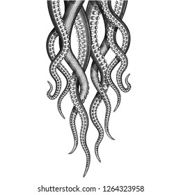 Isolated Tentacle illustration with shading in an etched style