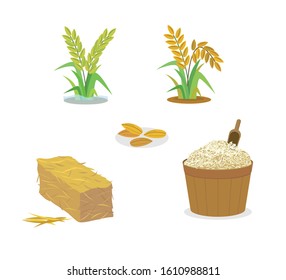 Isolated Thai jasmine rice vector.