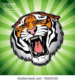 isolated tiger head - vector background