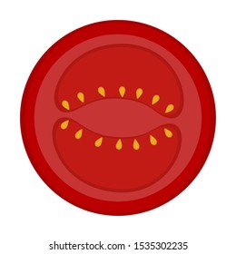 Isolated tomato cut pver a white background - Vector