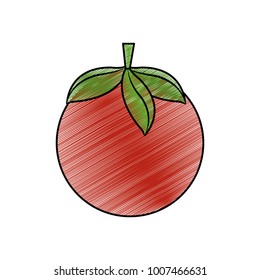 Isolated tomato design