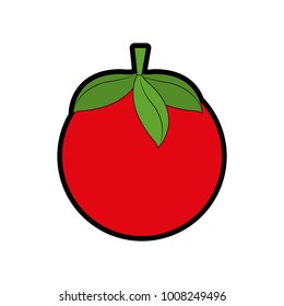 Isolated tomato design