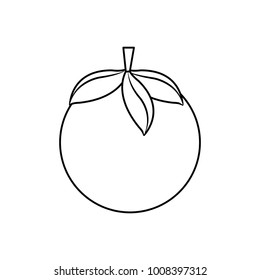 Isolated tomato design