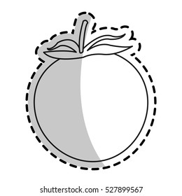 Isolated tomato design