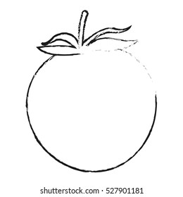 Isolated tomato design