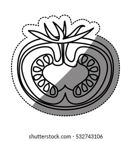 Isolated tomato design