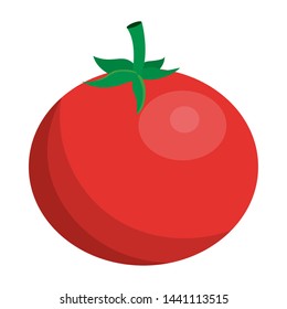 Isolated tomato design vector illustration