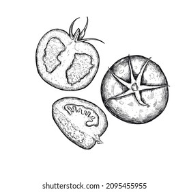 Isolated tomato on white background