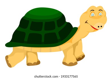 isolated tortoise on white background vector design