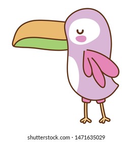 Isolated toucan cartoon vector design