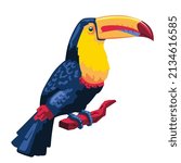 Isolated toucan image Colombian bird Vector illustration