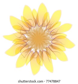 Isolated transparent sunflower, vector illustration, eps10