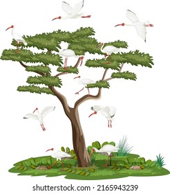 Isolated tree with American white ibis group illustration