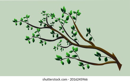 Isolated tree branch with green leaves and also express for both light and dark side in this branch.
