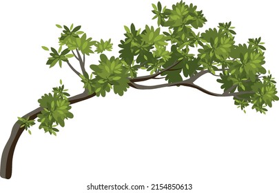 Isolated tree branch on white background illustration