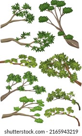 Isolated tree branches on white background illustration