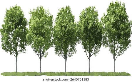 Isolated tree cutout collection, vector file, transparent background, nature silhouettes, tree shapes, forest illustrations, eco friendly design, plant graphics