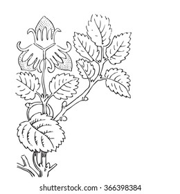 Isolated tree decoration strawberry berry print natural coloring floral white flower seasonal leaf vector botanical crayon summer graphic blossom bloom drawing revival contour strokes vegetable bush