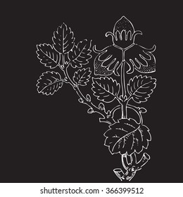 Isolated tree decoration strawberry berry print natural coloring floral white flower seasonal leaf vector botanical crayon summer graphic blossom bloom drawing black contour strokes vegetable bush one