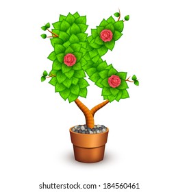 Isolated tree with flowers in clay pot. In the form of letter K