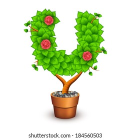 Isolated tree with flowers in clay pot. In the form of letter U