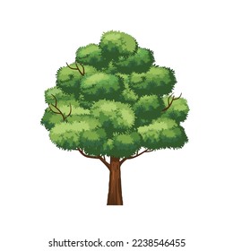 Isolated tree with green leaves on white background. Vector 