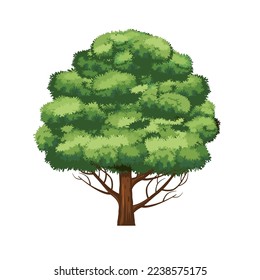Isolated tree with green leaves on white background. Vector 
