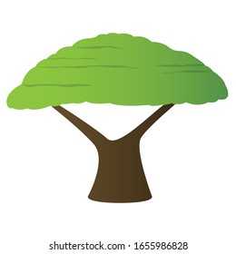 Icono de árbol aislado sobre un fondo blanco- Ilustración vectorial