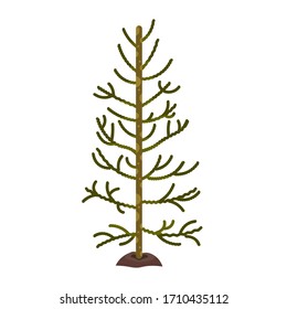 Icono de árbol aislado sobre un fondo blanco - Ilustración vectorial