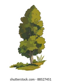Isolated tree illustration