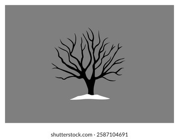 Isolated tree, no leave tree in the winter time 