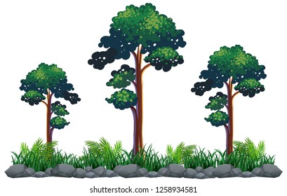 Isolated tree on white background illustration
