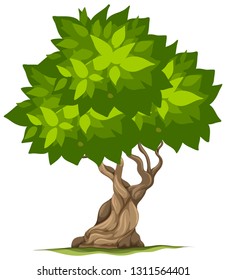 An isolated tree on white background illustration
